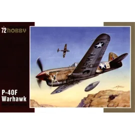 Curtiss P-40F Warhawk with Merlin engine