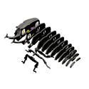 EUGY 3D - Rhinoceros Beetle EUGY 3D - Rhinoceros Beetle