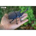 EUGY 3D - Rhinoceros Beetle EUGY 3D - Rhinoceros Beetle
