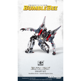TF-6 Blitzwing 