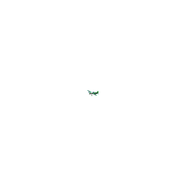 OMPHOBBY ARF Edge 540 Green and Black Plane approx 1.52m 