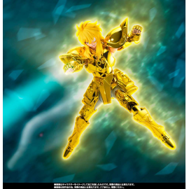 Saint Cloth Myth - Ex Aquarius Hyoga Inheritor Of The Gold Cloth 