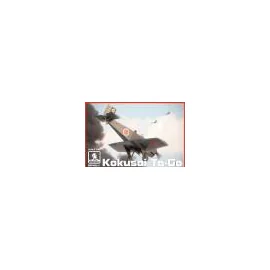 Kokusai Ta-Go a prototype kamikaze aircraft Model kit