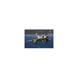Dassault Super Etendard DH-038 is a 116 page book on the Dassault Super Etendard. This book shows every detail of the compact je