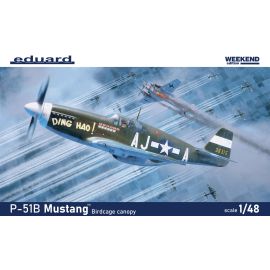 P-51 Mustang model kit - all the model kits at 1001hobbies