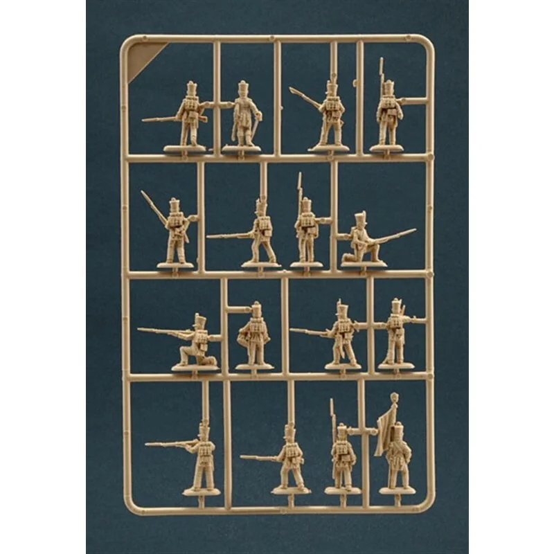 French Infantry Napoleonic Wars