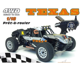 TEXAS Buggy RTR EP