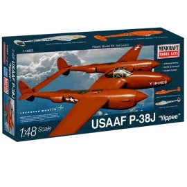 USAF P-38